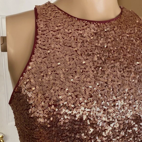 Lulus ombré sequin gown - Picture 8 of 13